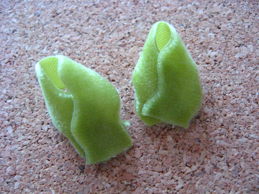Finished leaves Finished leaves
